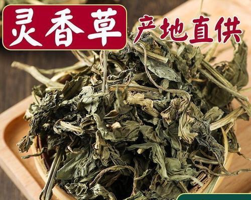 《蜀山初章》中血灵草获得方法详解（探寻血灵草的藏身之地）